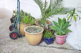 6212780731_8895bf51cf_z