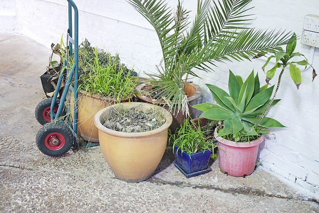 6212780731_8895bf51cf_z