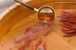 Goldfish-Salvation-Riusuke-Fukahori