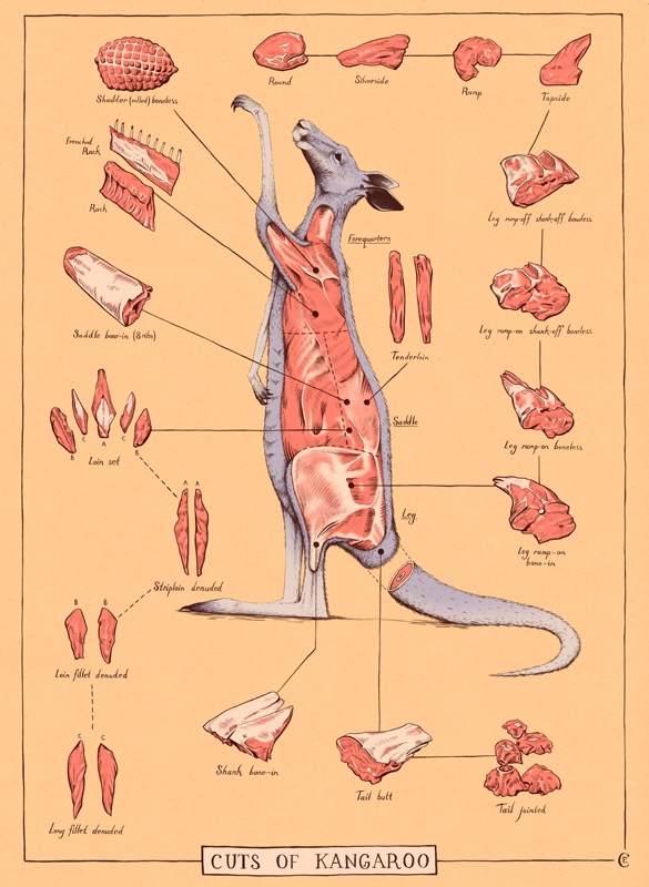 1335798648Native_ChrisEdser