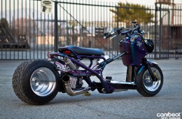 Standard_Functions_Maggie_May_7-900x600