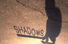 shadows