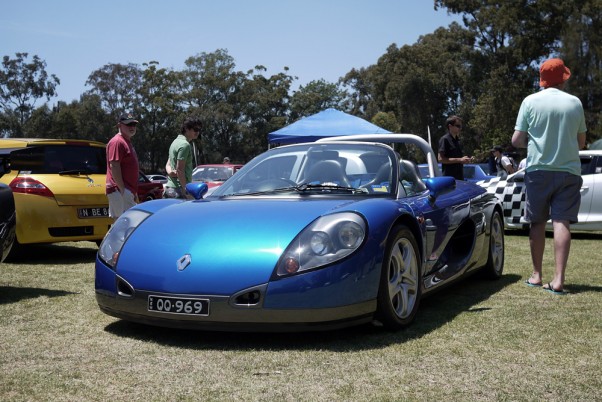 renaultspider