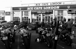 acecafe