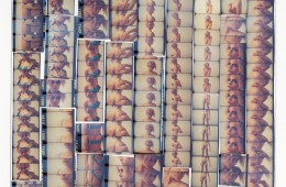 iD-Cara-Collage-1_F1_RGB