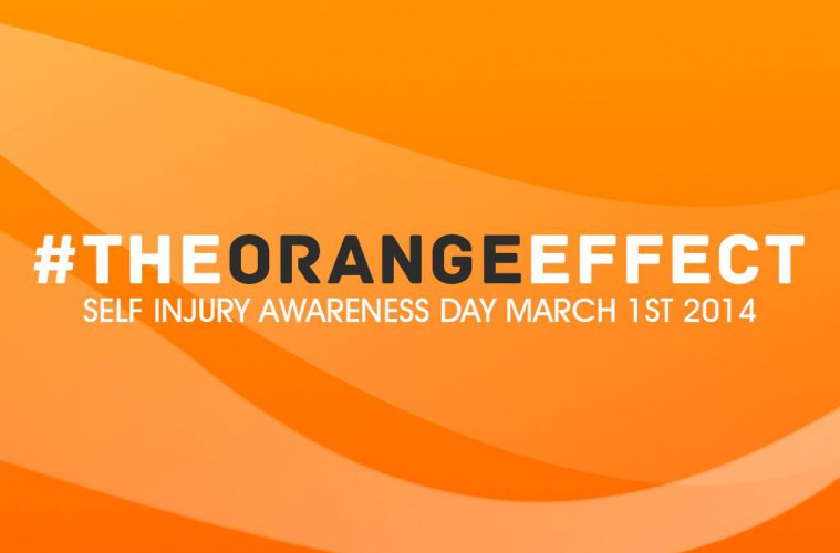 1979218_618340581555115_1659079182_o