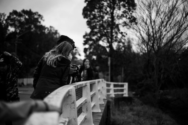 10535589_433373346804100_1760721707062976139_o