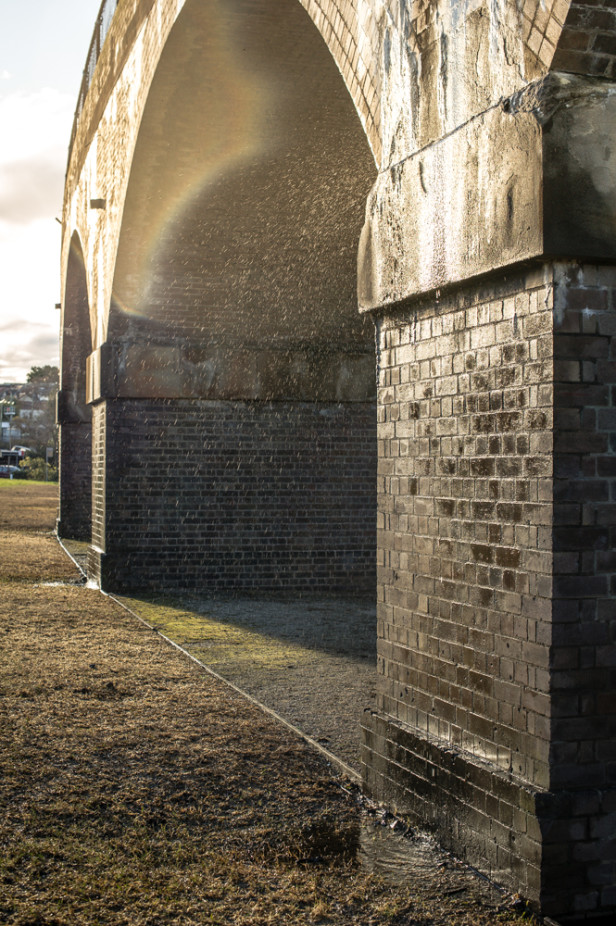 Zen Photo Walk 1000px-11