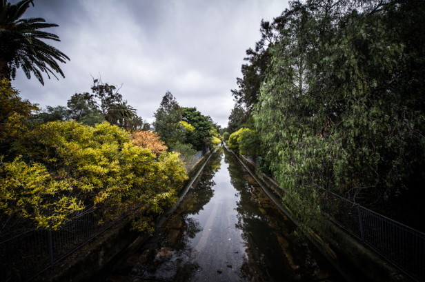 Zen Photo Walk 1000px-7