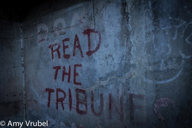 10694237_545987958865935_2022993576241727754_o