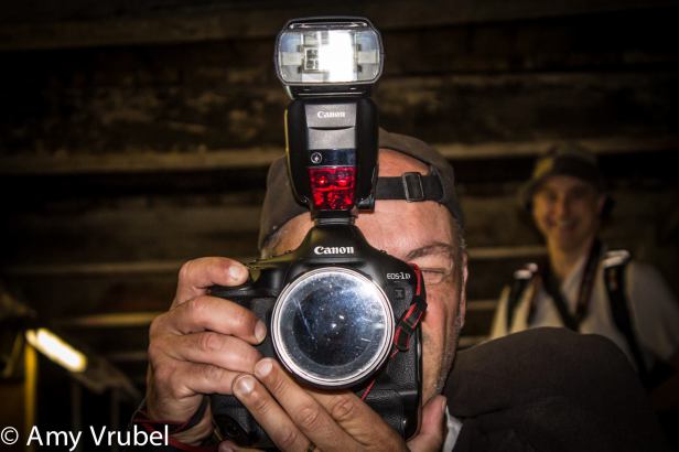 1909193_545987532199311_8615122200119042598_o