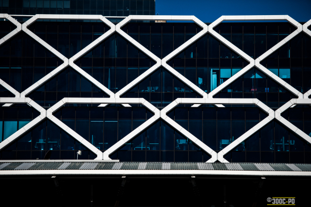 2014-11-02 - Zen Photowalk 2-001