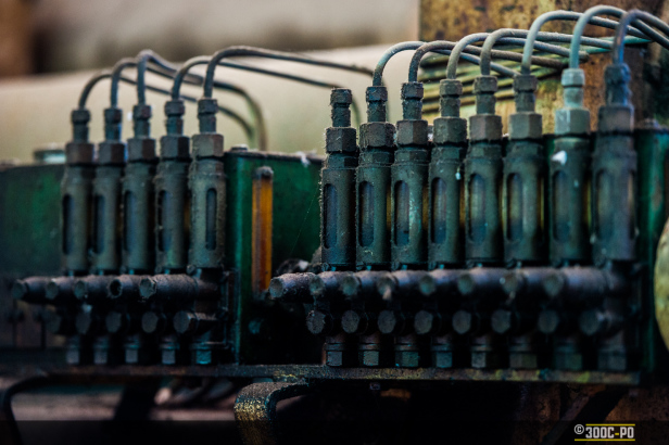 2014-11-02 - Zen Photowalk 2-003