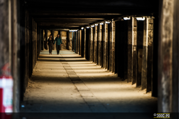 2014-11-02 - Zen Photowalk 2-009