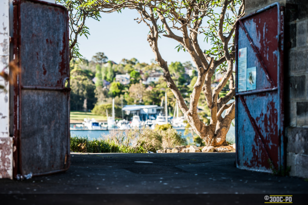 2014-11-02 - Zen Photowalk 2-010