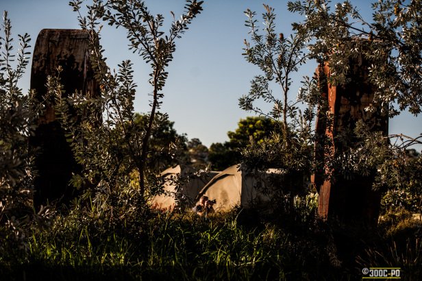 2014-11-02 - Zen Photowalk 2-011