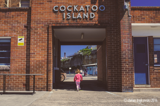 Zen Walk-6161-1000PX-WM