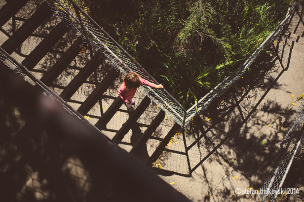 Zen Walk-6179-1000PX-WM