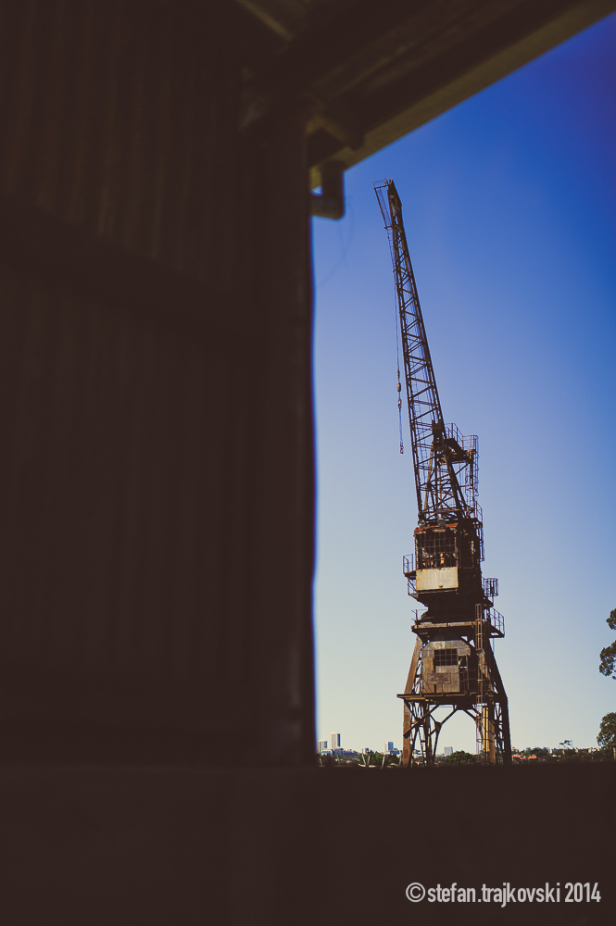 Zen Walk-6187-1000PX-WM