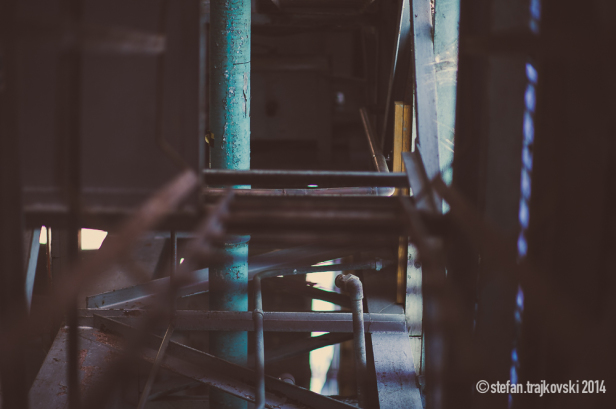 Zen Walk-6216-1000PX-WM