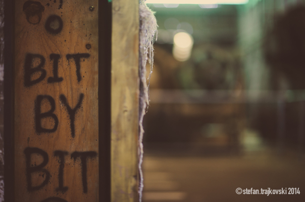 Zen Walk-6217-1000PX-WM