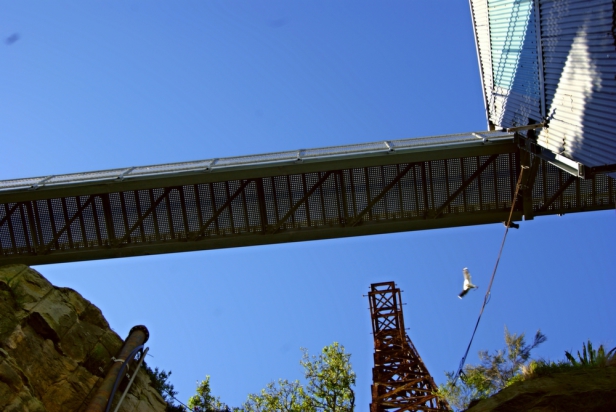 a4265547-9572-4ae7-879f-b88a42274ad7_zps0057463c-1