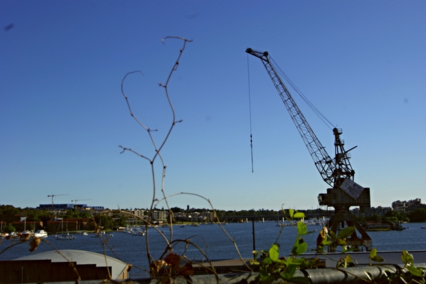 d1ad020f-ce84-47a4-a86f-d259617e49b4_zpsaca98aa7-1