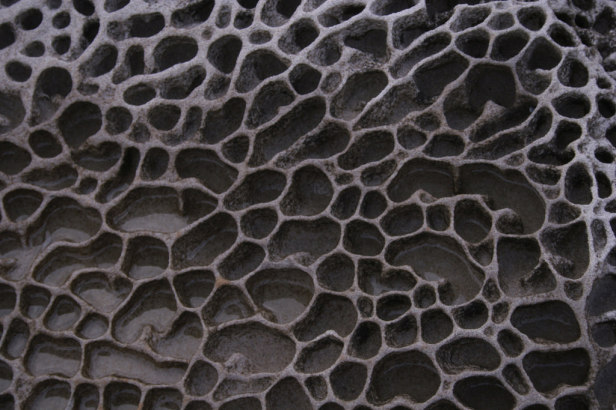 17119472152_368d2e5881_b