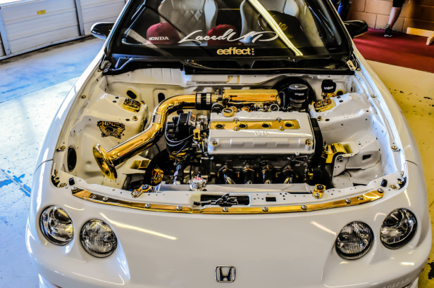 DSC 203 Integra Gold and White Bay shot-