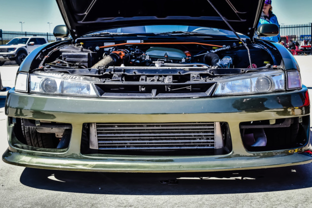 DSC 208 Bear's Kouki Front Shot-