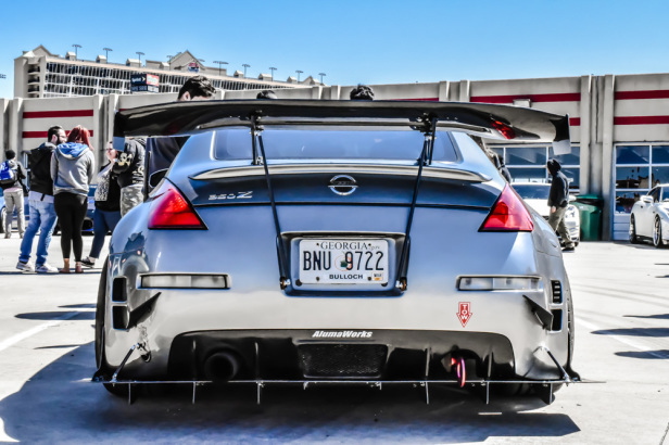 DSC 209 Bear's Z33 Back Shot-