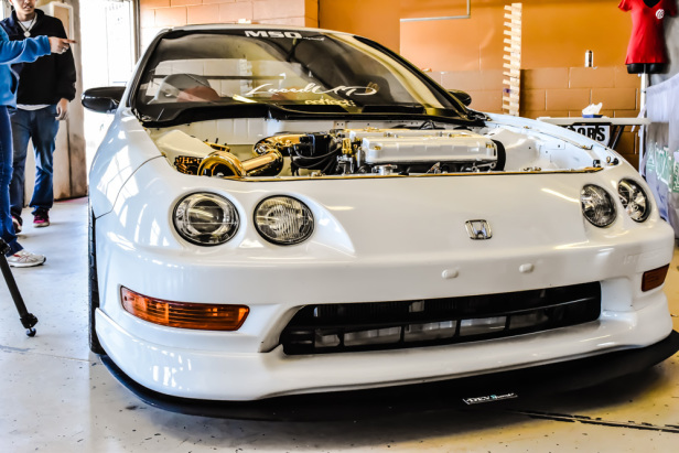 DSC 92 Martell's Gold and White Integra-