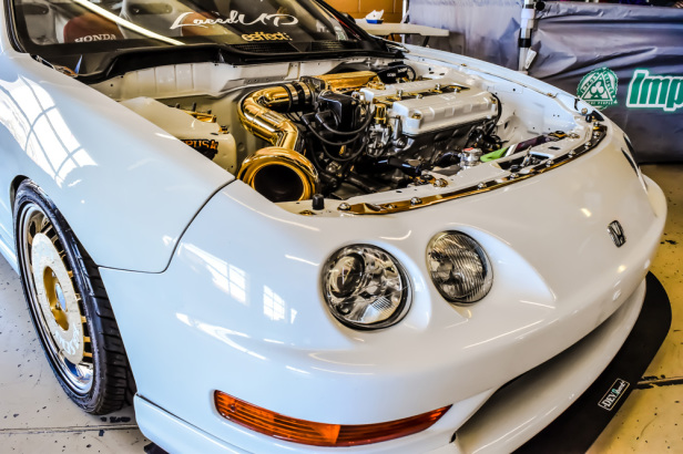 DSC 94 Martell's CAI Shot-