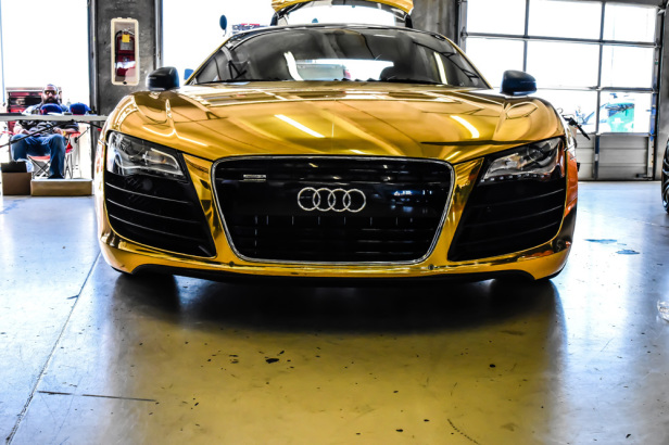 Gold Auid R8-8