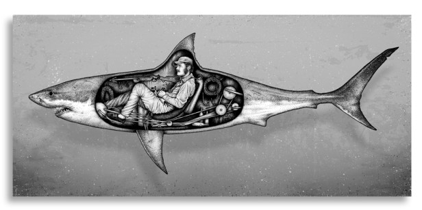 Quints_revenge_by_Paul_Jackson