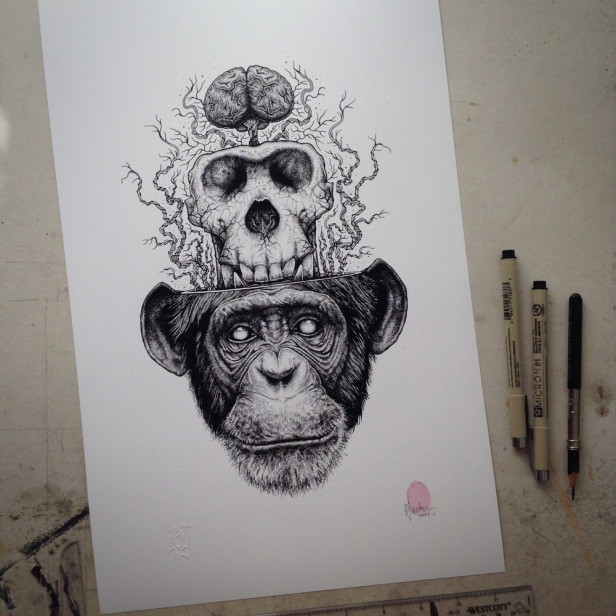ape_skull_n_brain