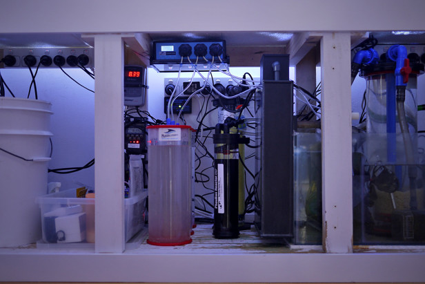 5058157372_e90341c36b_b