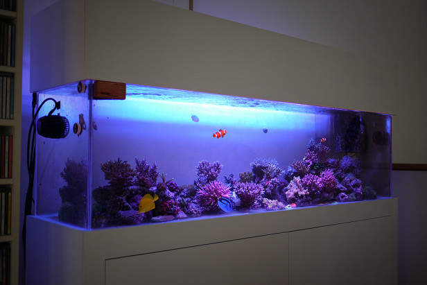 5524002055_373dd7981b_o