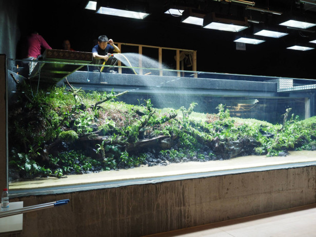 b98854ca32b44267507086f9d5125eb4