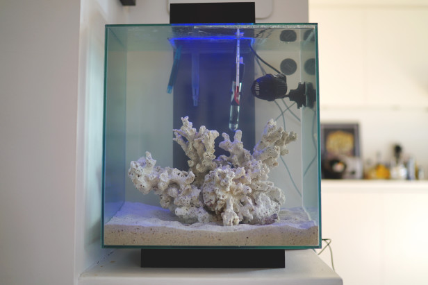 fluval_edge_2_46l
