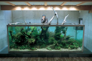 nature-aquarium-by-takashi-amano-wallpaper