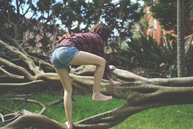 bri_justinfox_tree_climb