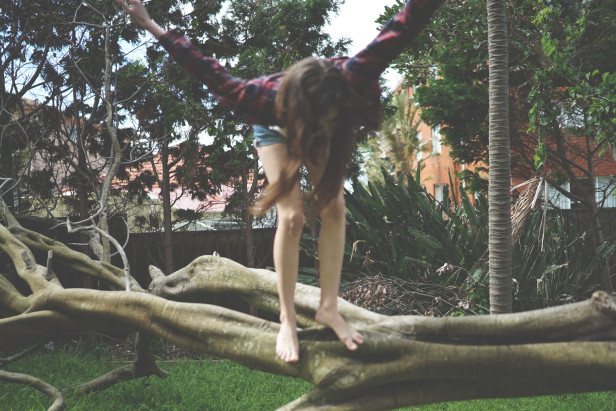 bri_justinfox_tree_fall