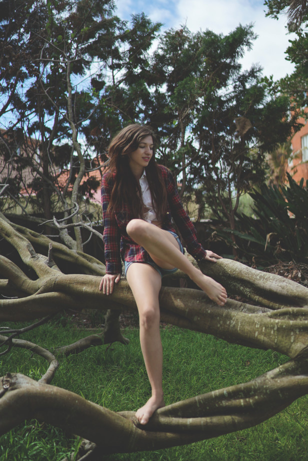 bri_justinfox_tree_p2