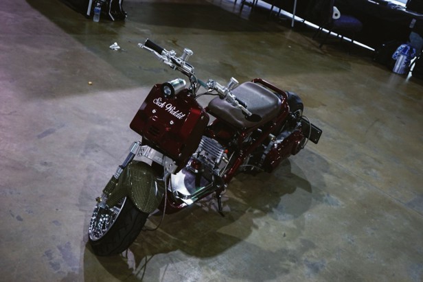 DSC 00303 Feature-00303