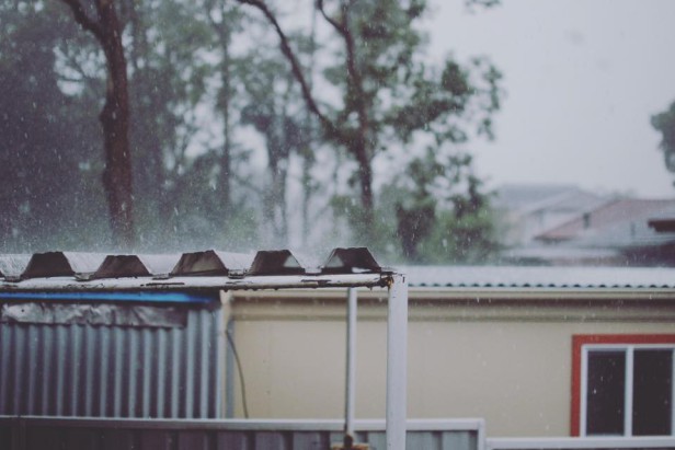 12369142_10153937166039750_4943025646167499342_n