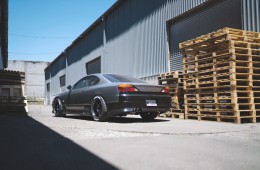 nfszen_bodyform_vertex_3