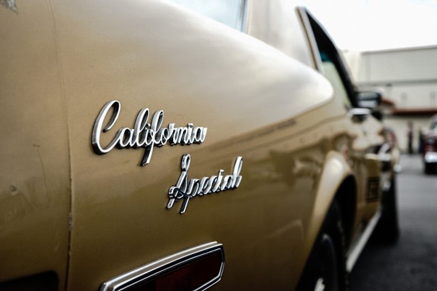 DSC 002174 Feature-1