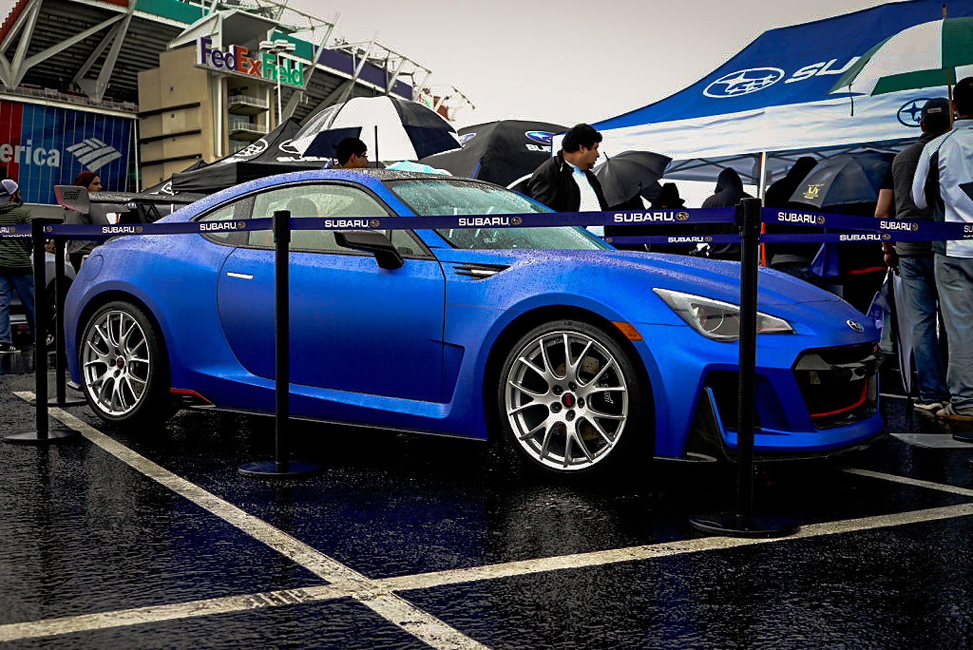 DSC3196 Feature-03196