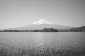 fuji